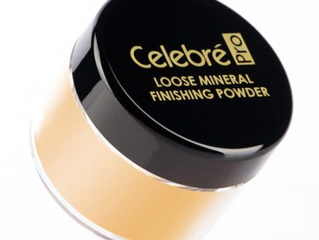 Mehron Makeup Celebre Loose Mineral Finish Powder (.42 ounce) (Medium Medium Dark) Supply