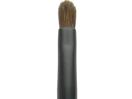 BEAUTIQUE Lip Brush-BQMB16 Lip Brush For Sale